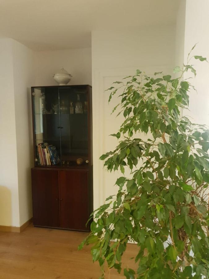 Appartement Cosy Parc Thermal Thonon-les-Bains Buitenkant foto